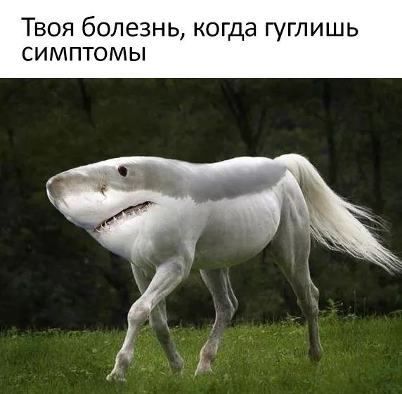 Картинки для поднятия настроения 12.01.20