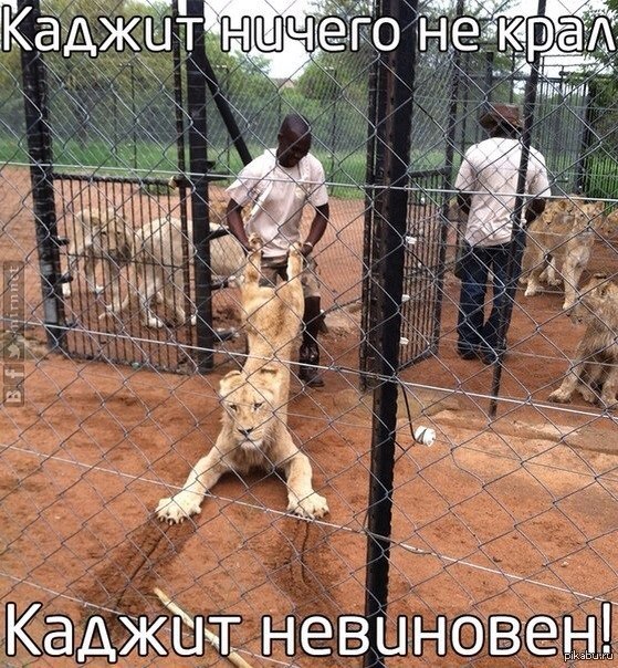 Древние мемы с ВК. Для тех кто забыл #4