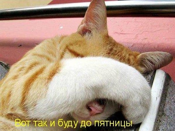 Чуток картинок.  Вечерние