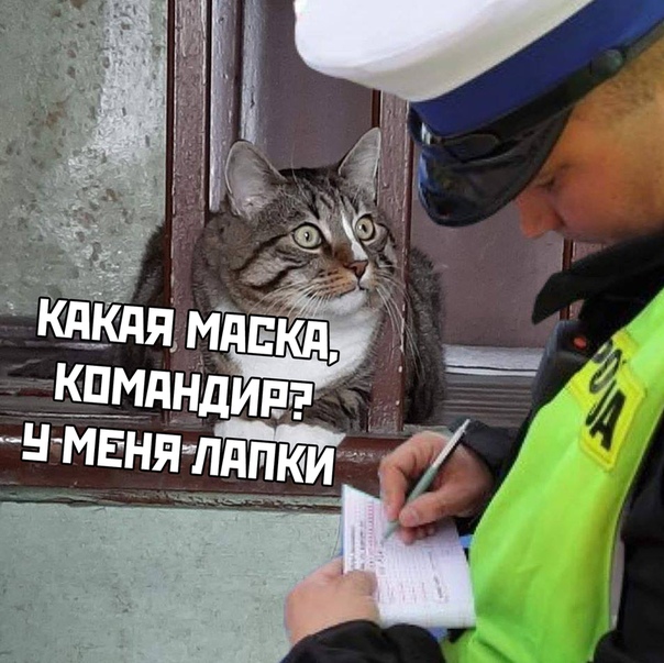 Бредзона 20.04.2020