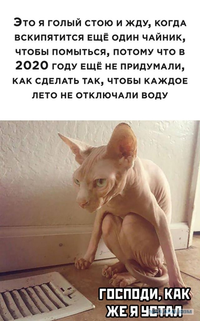 За что мужчины так ненавидят РСП - разведенных женщин с детьми?