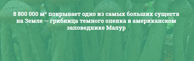 А вдруг вы не знали