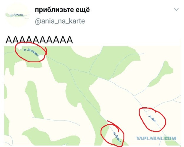 Непотребство