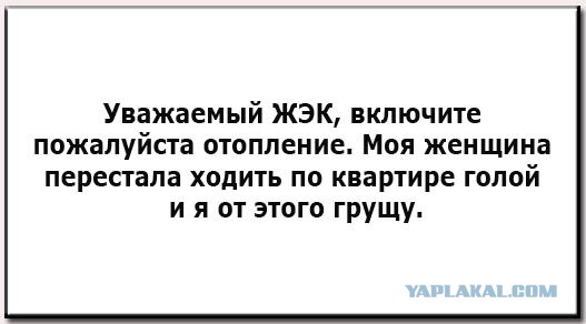 Немного картинок для настроения 04.10.20