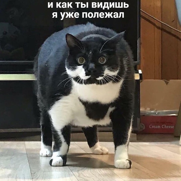 Картинки разнообразные. На злобу дня и на доброту (05.10)