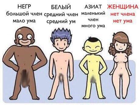 Чепухень на каждый день