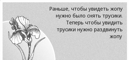 Нащельники и их виды.