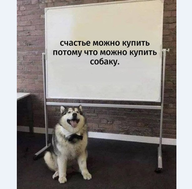 Картинки и мемы для настроения 014