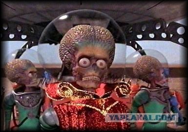 Попугай поёт Gangnam style