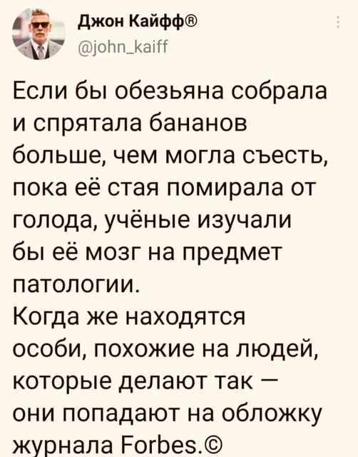 Весёлый полтишок 18.05