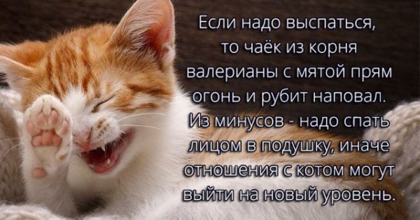 Немножко картинок в пятницу