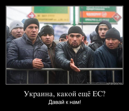 Толерантности пост