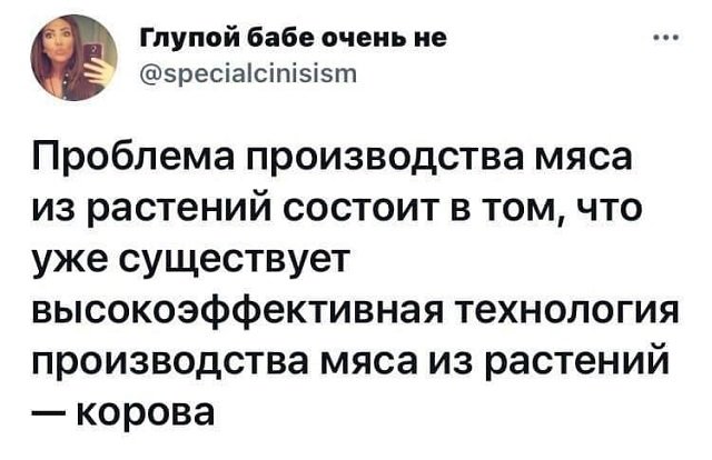 "Купил коту игрушку" и другие картинки