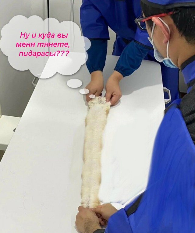 Медосмотр