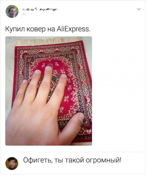 Забавные комментарии из Сети 19.06.22