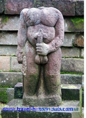 Они живут только 40 лет