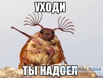 Мемчики. Опишите одним мемом, как дела, что на душе?