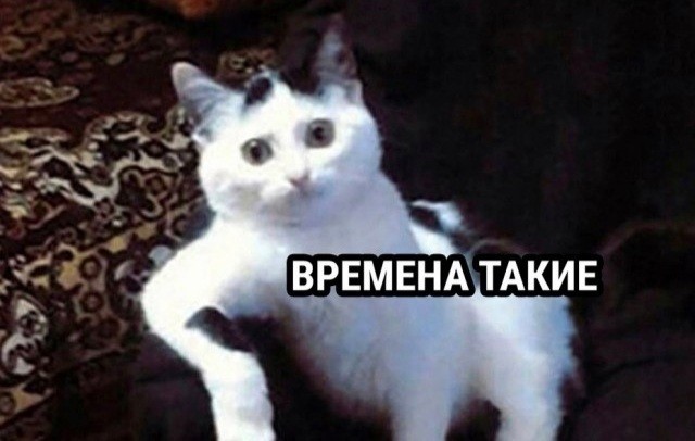 Пинг-понг-дипломатия образца 2022-го года