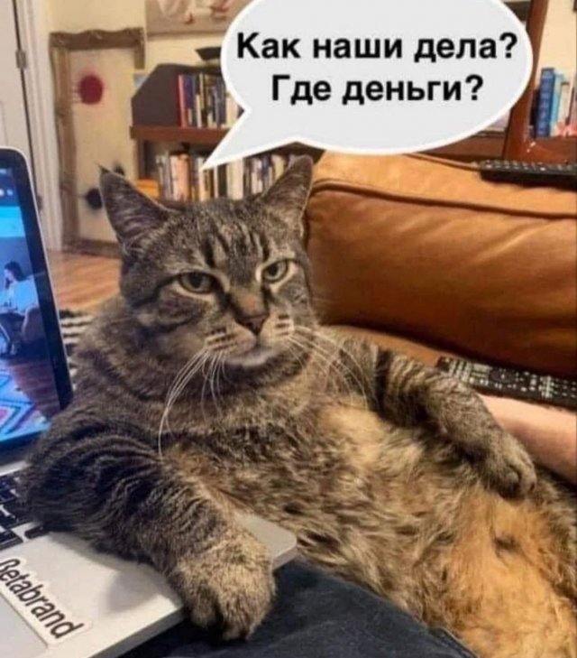 Картинки и мемы. Выходные близко...