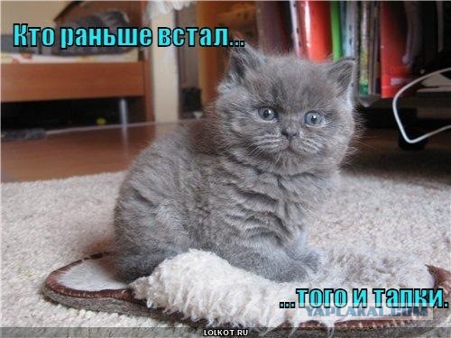 Без врага жизнь скучна, а с врагом - интересна