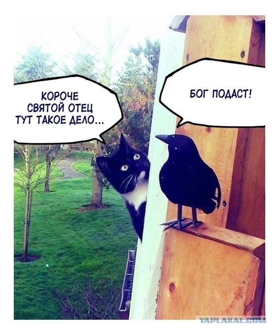 Включайте уже этот ваш рэп