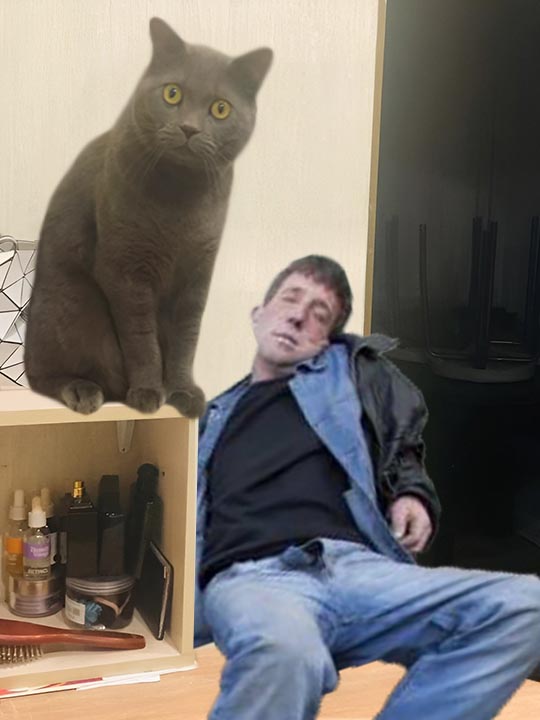 Сына котики