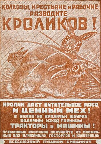 Покупка