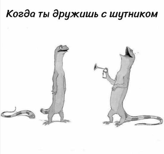 Так себе картинки 29.04.24