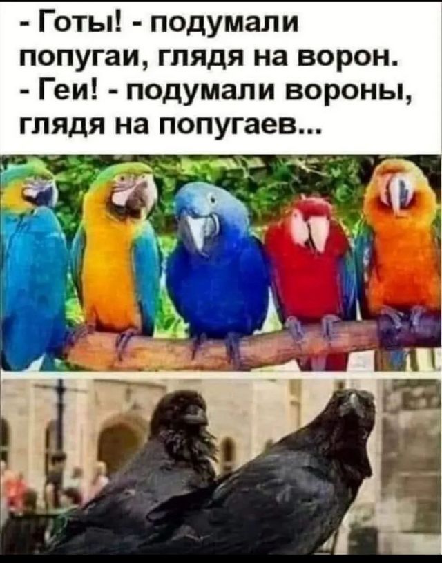 Завалялось тут случайно немного забавных картинок