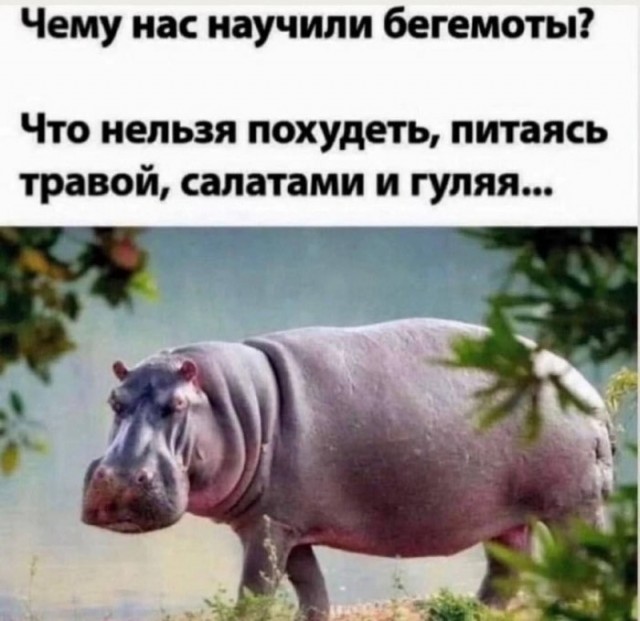 Деревенская Америка - 10