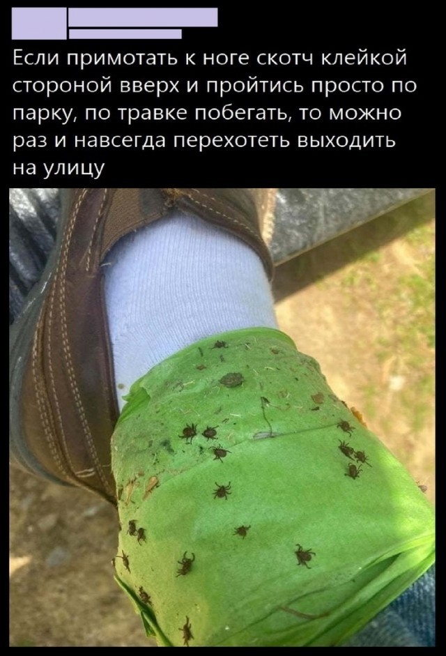 Так себе картинки 31.05.24