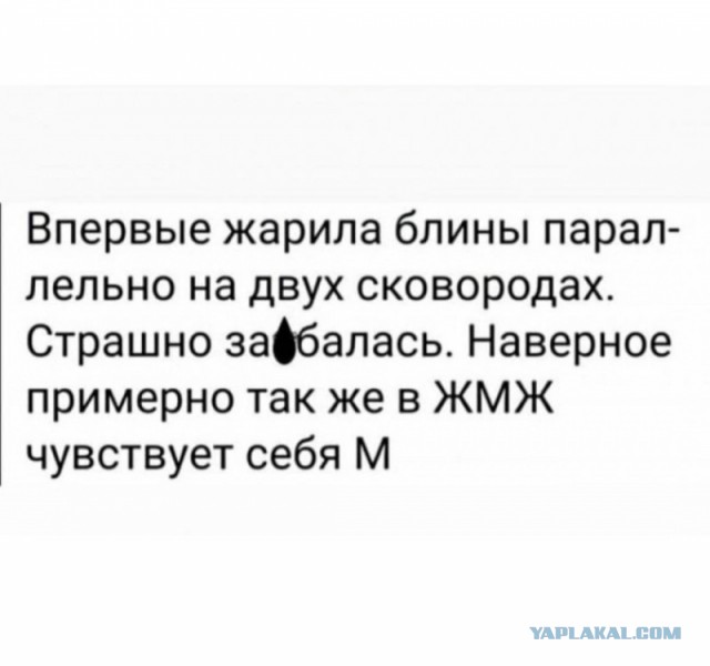 Так себе картинки 08.10.24