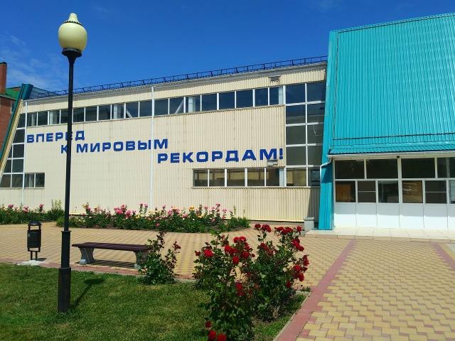 Прожизнь