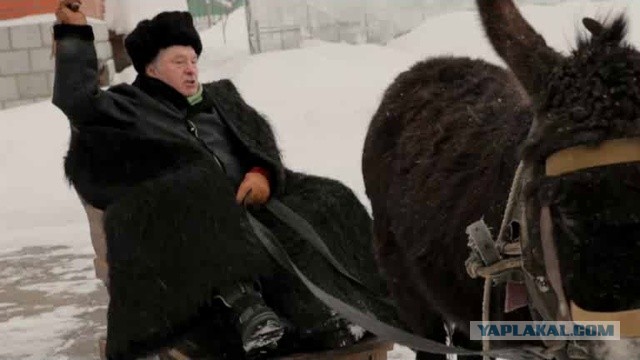 «Какого х*я ты отменил заказ, пид***сина?»