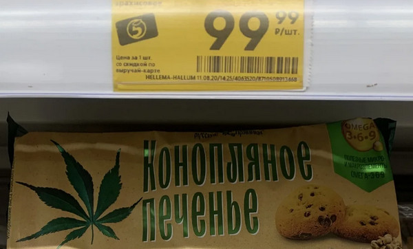 В Подмосковье нашли плантацию из 430 кустов конопли