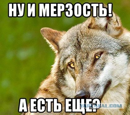 Чёрно-пошлая среда для деградантов