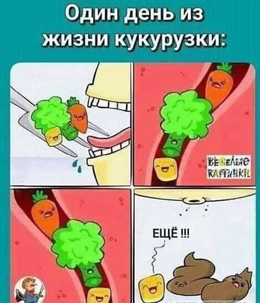 Отсутствие морально этических норм Vol.22