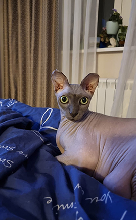 Ушла на радугу сегодня моя лучшая подруга Буся (Бусинка).