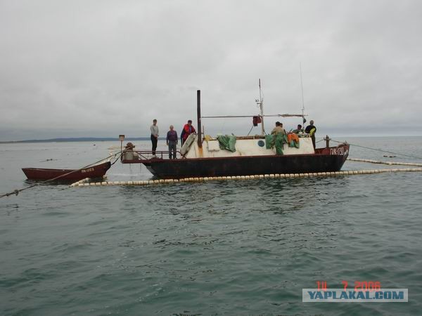 Рукодельный мужик купил столетний корабль, отремонтировал и теперь живет в нем и занимается творчеством