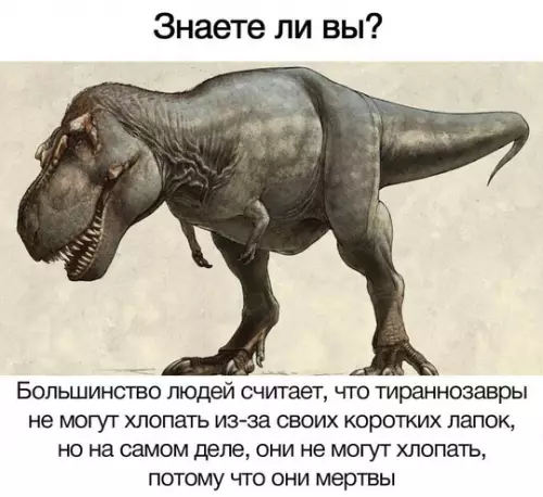 Картиночки, баянчики 25 февраля