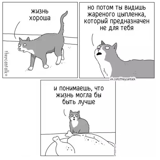 Пакет брать будете?