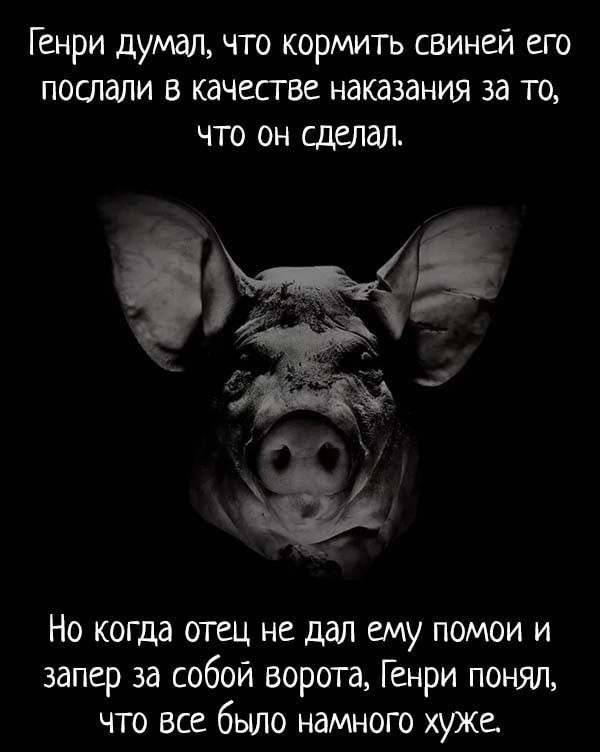 Страшилки ( с картинками )