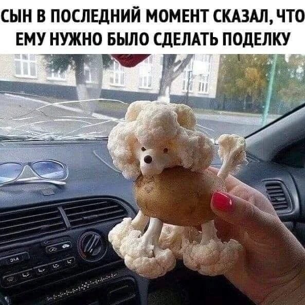 Картинки для деградации 181 (разной степени свежести)