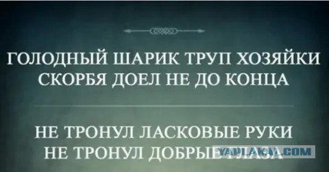 А ведь это не шутка...