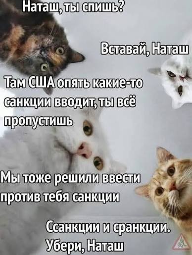 Найди себе уже мужика, Наташа!