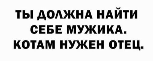 Котомошенники отнимают квадратные сантиметры у наших граждан!