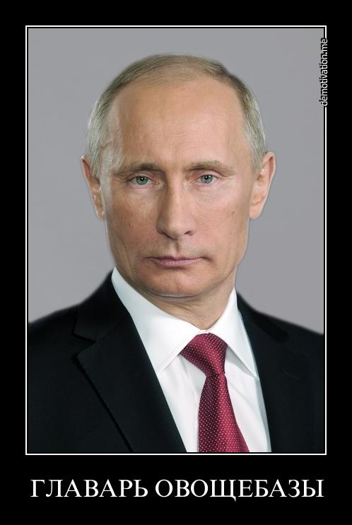 Руководитель овощебазы - доверенное лицо Путина.