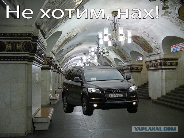 Фраза дня