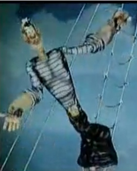 Подарок для проводника