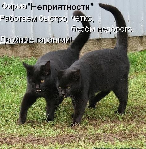 Не про олимпиаду